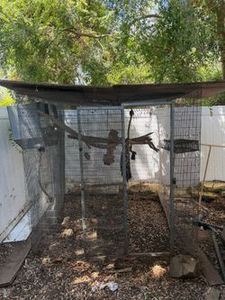 Bird cage aviary.