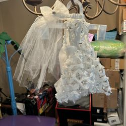 Pet Halloween Costume 