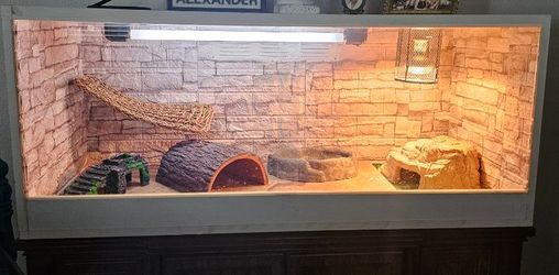 Large Custom Reptile Bearded Dragon Enclosure with Sliding Glass Front Doors
