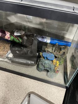 Fish Tank With Supplies
