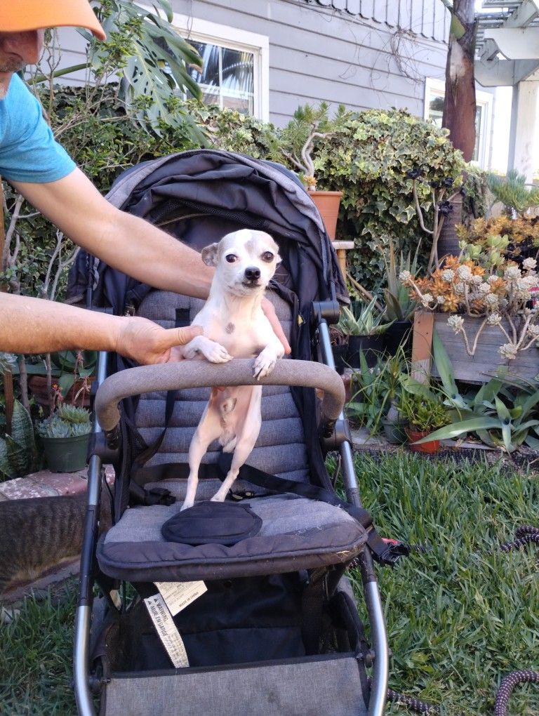 Baby Stroller