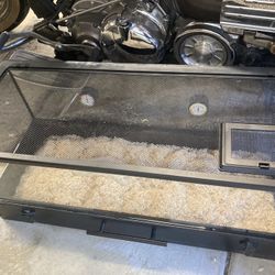 20 Gallon Terrariums 