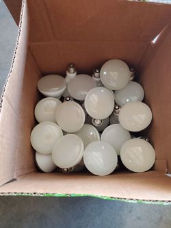 25 Flood Light Bulbs