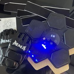 Music Boxing Target With MMA gloves NEW 