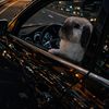 CarsNParts