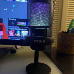 Gaming mic