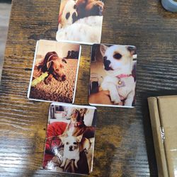 Dog Tags