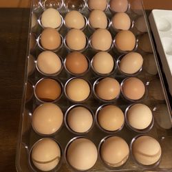 Fresh Eggs 🥚 5 the dozen 