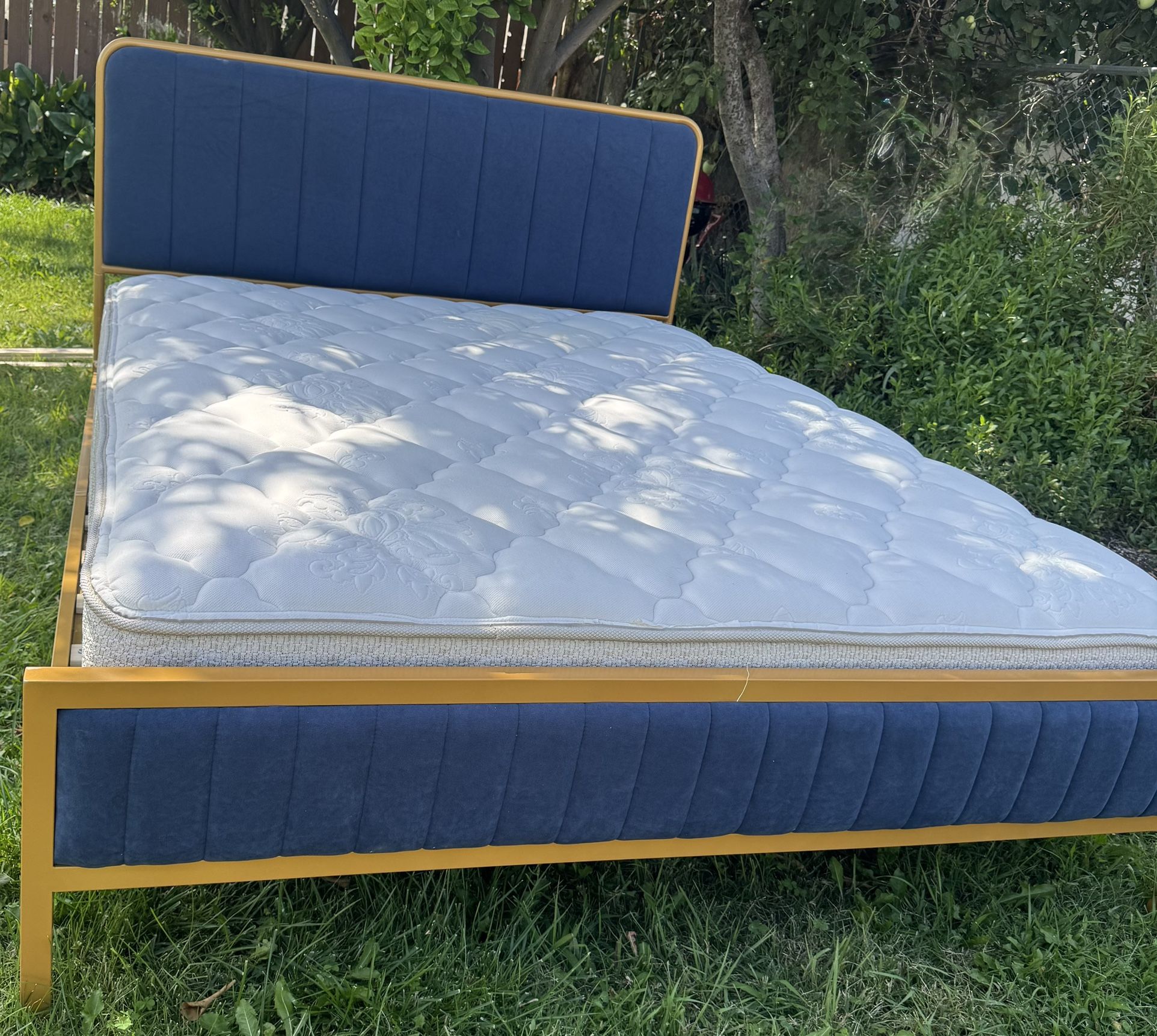 I Have Two Of This Beds Queen With Good Mattress $225 Eash