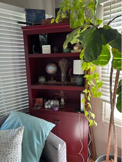 Decorative shelf/cabinet