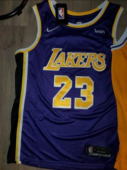 Lebron lakers purple jersey