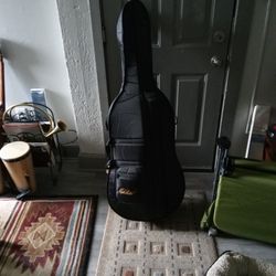 Easter Cello I'm Case New Condition 