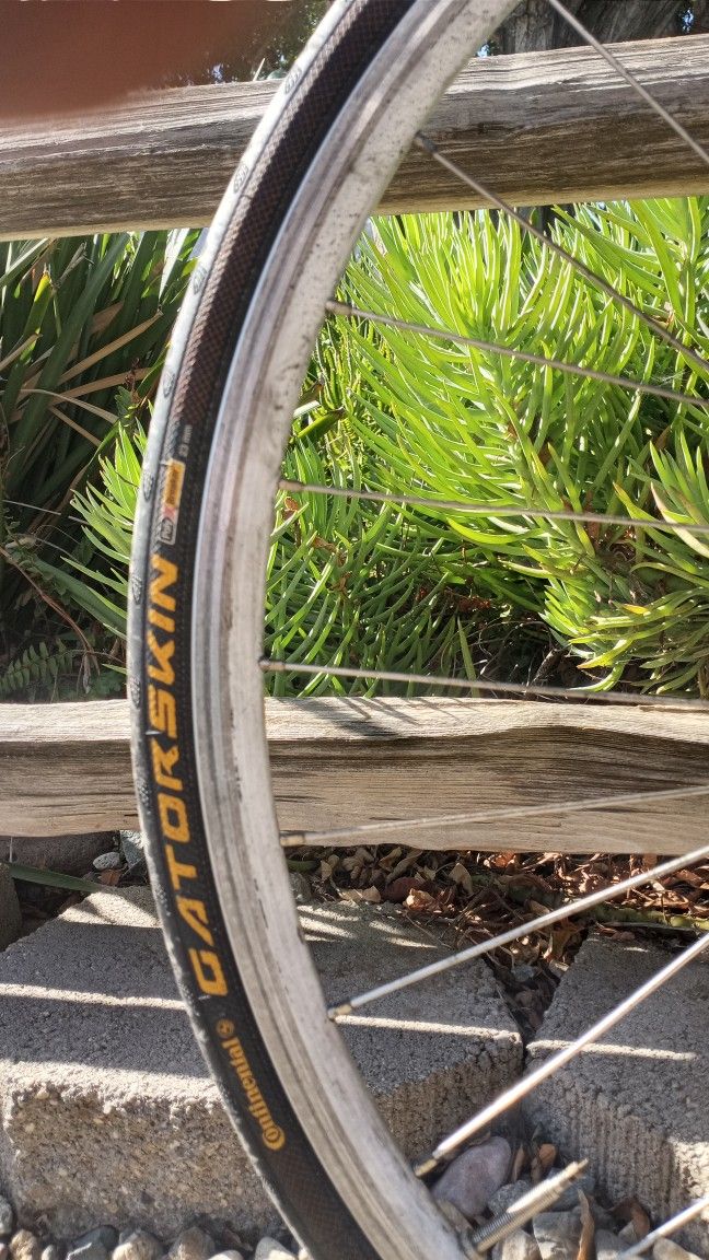 Trek 2000 Alpha SL Road Bike for Sale in Lake Elsinore, CA OfferUp
