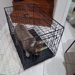 Dog Travel Crate