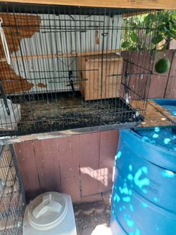Jaula para pajaros