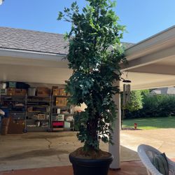 Artificial Ficus Tree