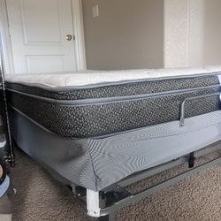 Twin  Bed & Frame  Free