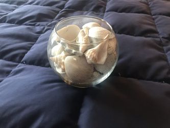 Glass Globe Florida Sea Shells