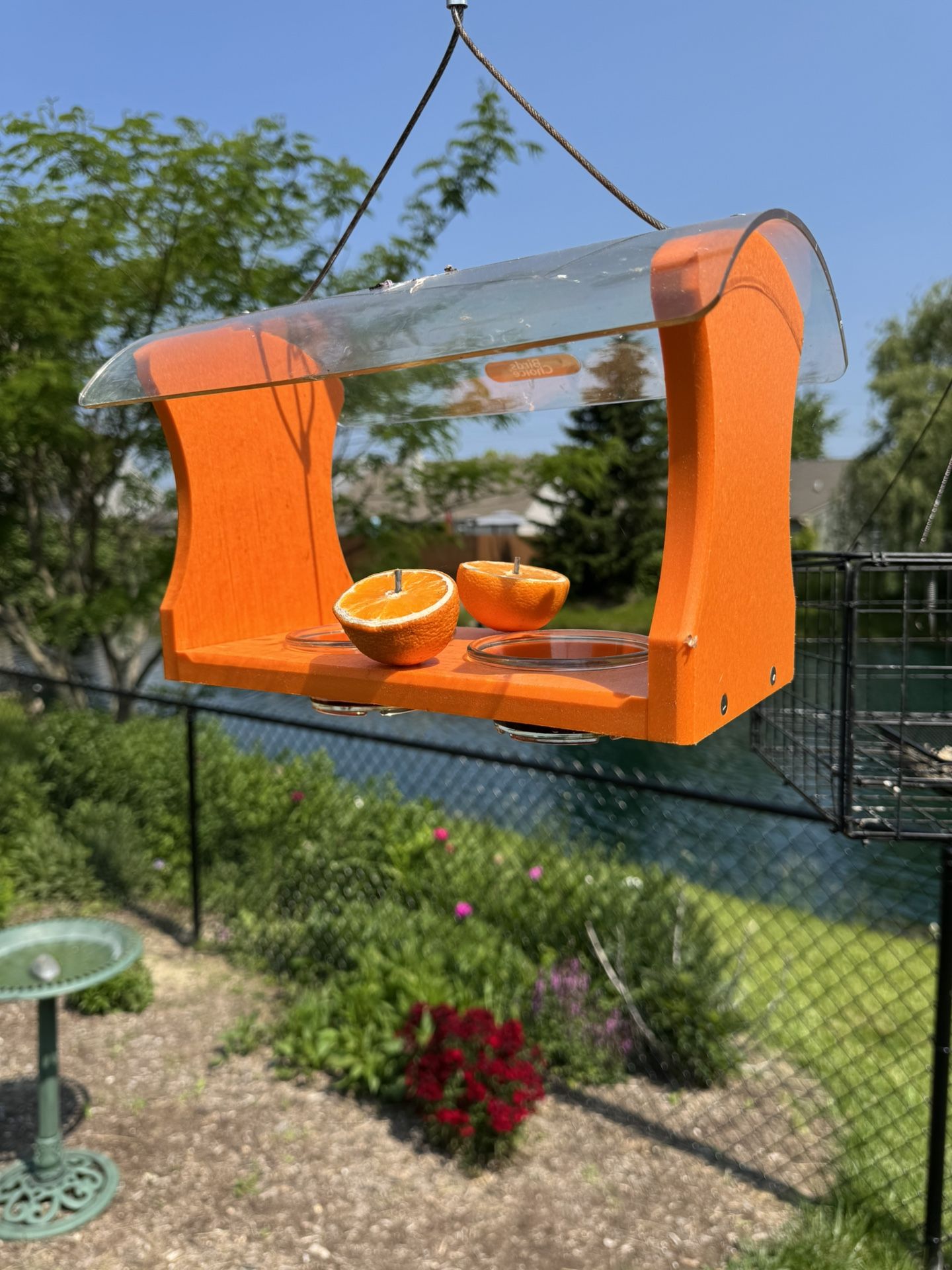 Oriole, bluebird feeder