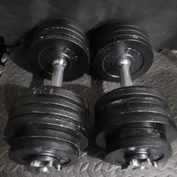 55lbs Dumbells Weights 