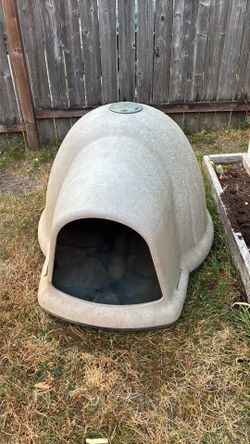 Dog House