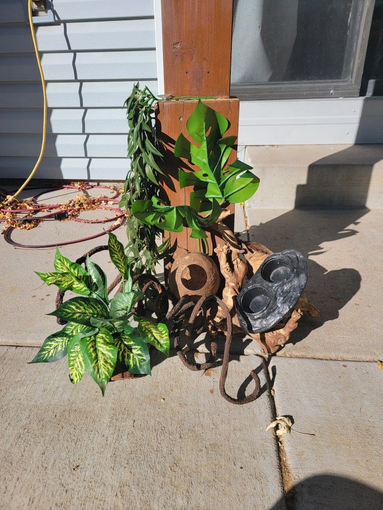 Reptile Enclosure (READ DESCRIPTION)