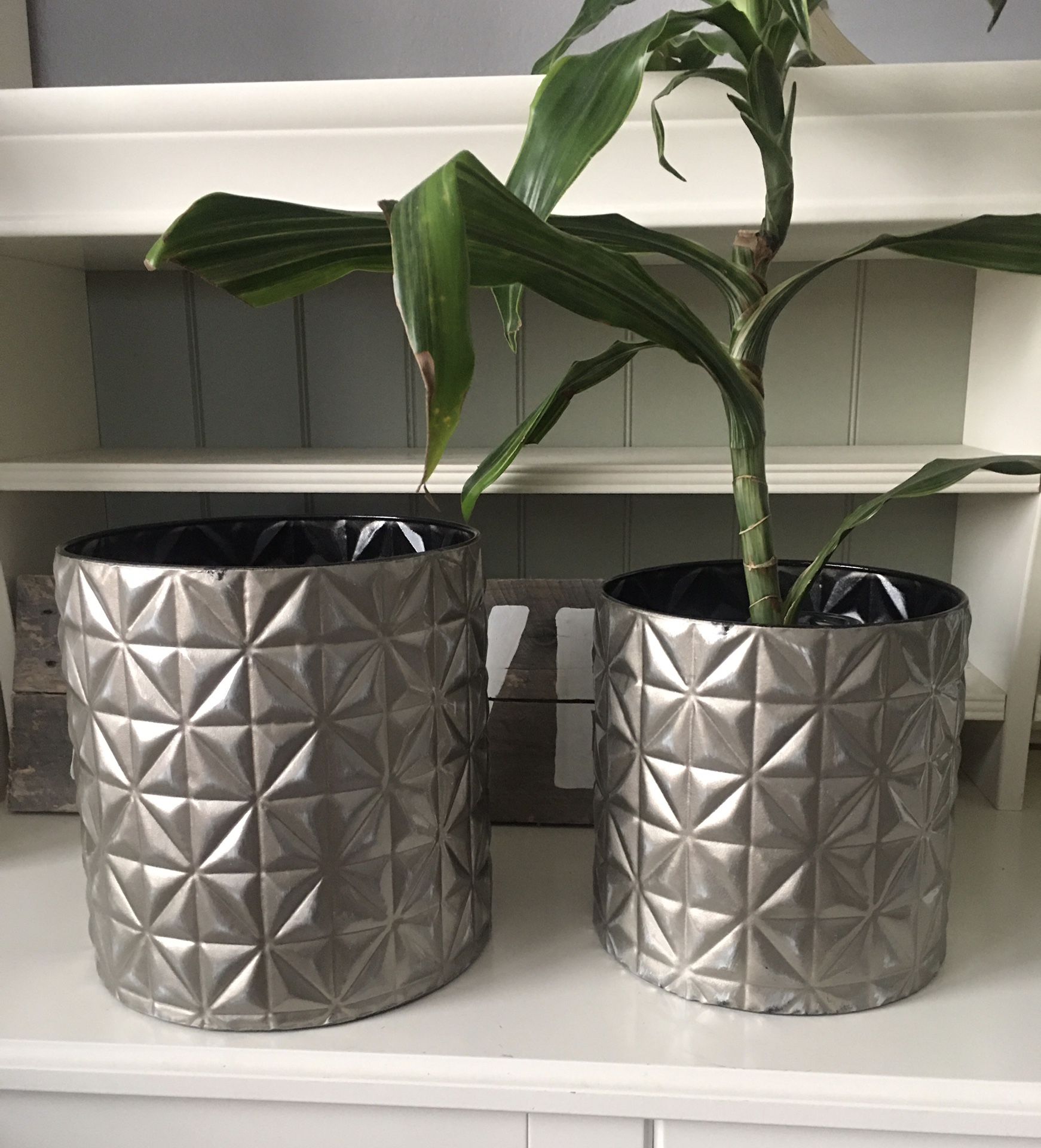 Silver Metal Geometric Plant Holder / Container Can