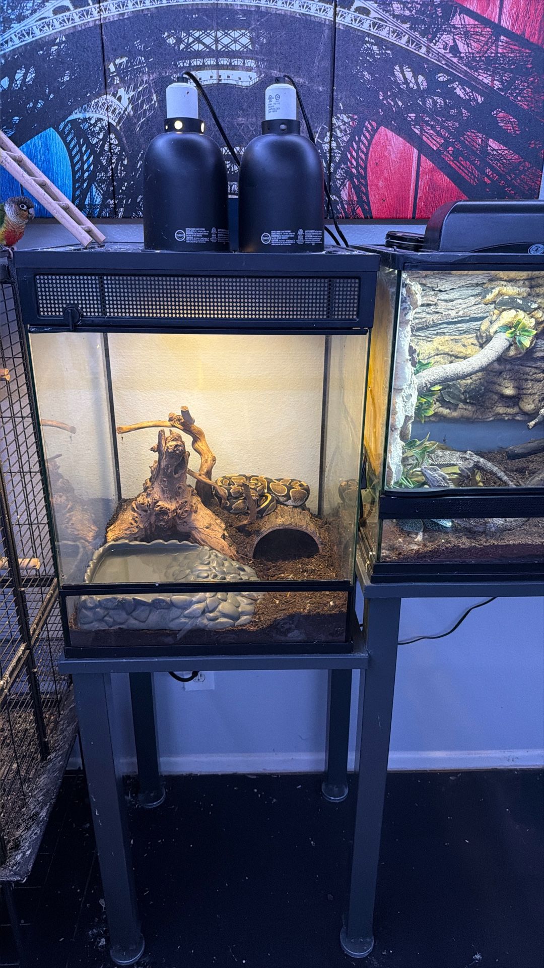 Tanks For Sale