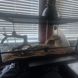 Reptile 45 Gallon Tank