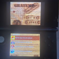 Nintendo 3ds