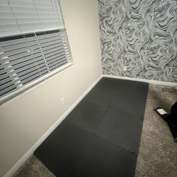 Fitness Floor Mat 