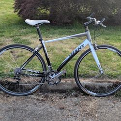 Giant Rapid 3 Flat Bar Road Bike Medium Size 24 Speed