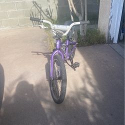 Specialized Purple Hot Rock Bike