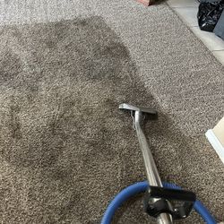 STEAM CARPET