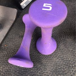 5lb Rubber Coated Dumbbells 