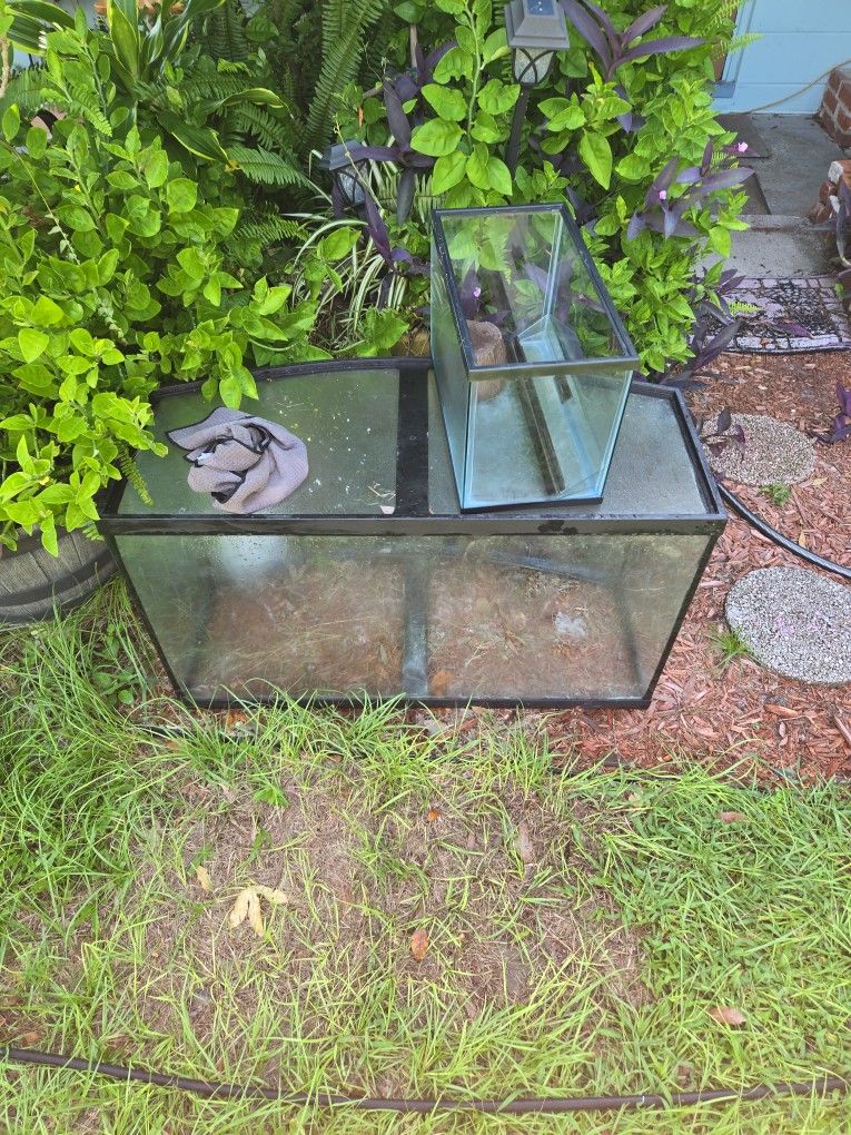 Fish And Reptile Tanks
