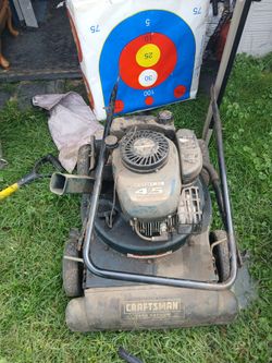 Craftsman asking 80 leaft limb shredded