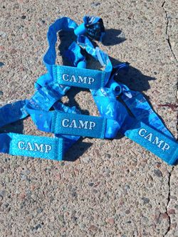 Camp Flog Gnaw Sunday GA Wristbands @ Venue NOW!!!!