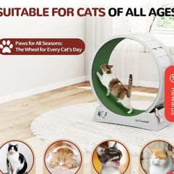 Brand New Cat Wheel