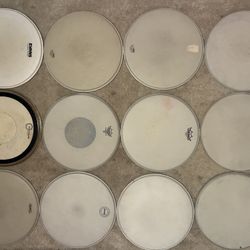 14” Coated Snare Drum Drumheads, $5 each