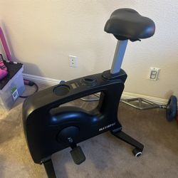 Flexispot Under Desk Bike