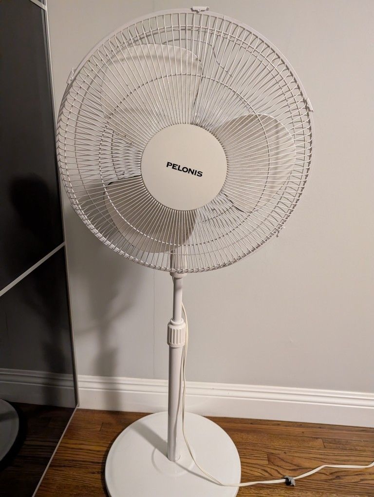 Oscillating Fan 3 Speed Fan