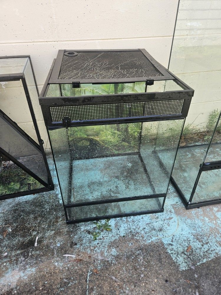 Reptile Tank