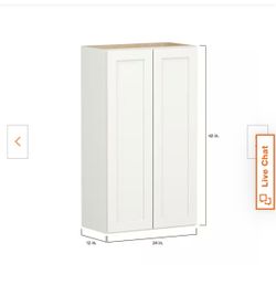 Wall Cabinet 24” Wide X 42” Tall.