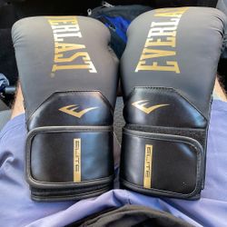 Everlast 12 Oz Boxing Gloves Black Basically New