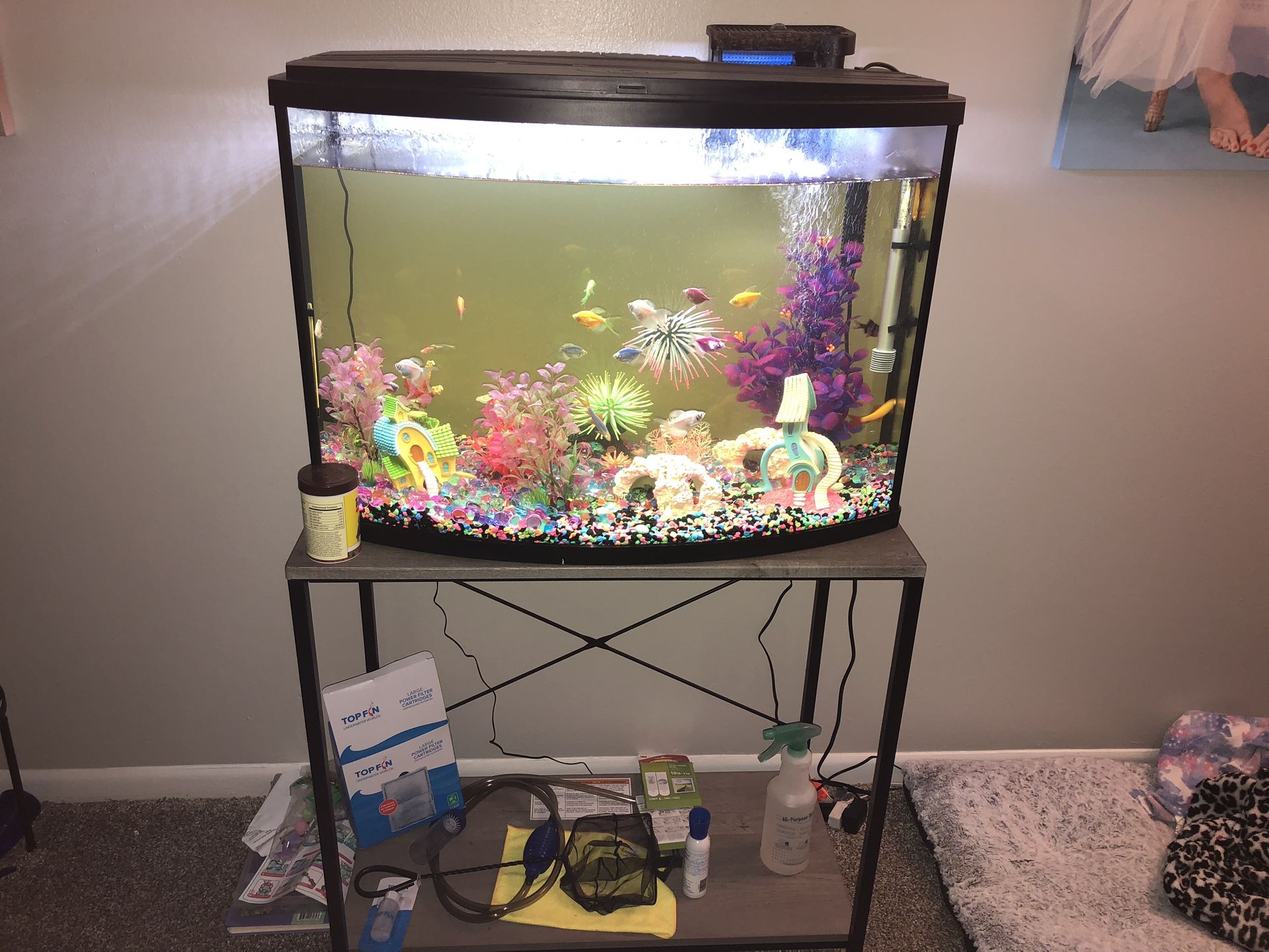 30 Gallon Bow Front Fish Tank