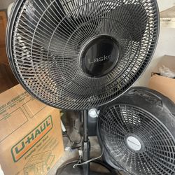 Fan For Sale 