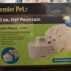 Pet Fountain 