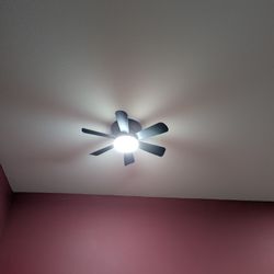 Ceiling Fan Light Combo 