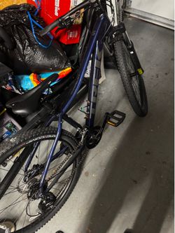 Trek Merlin 5